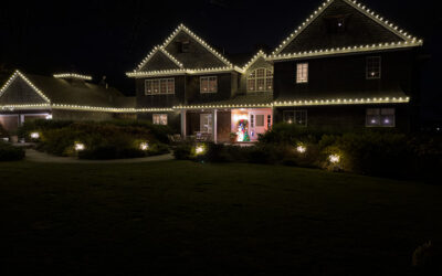 Why Hiring Professional Holiday Light Installers in Lakeville Saves Time and Money